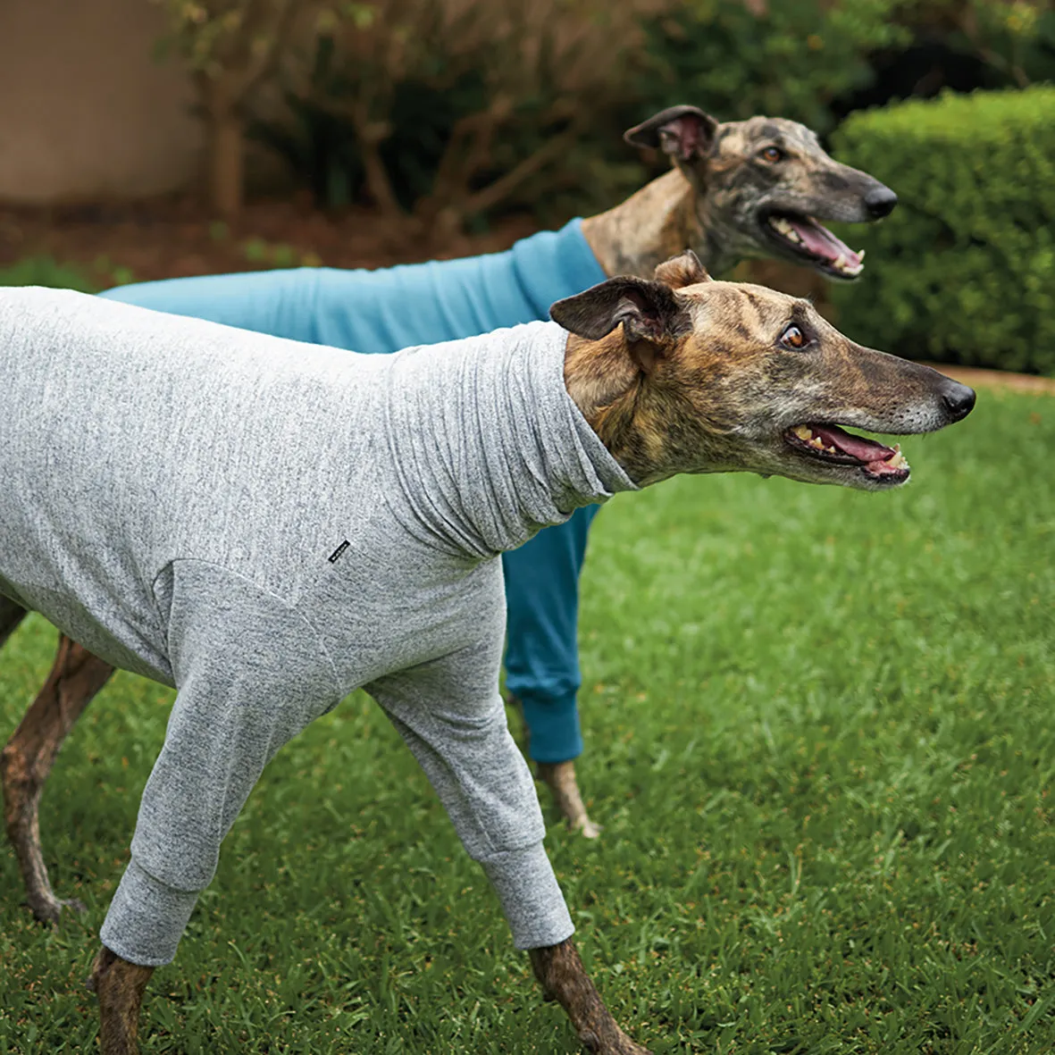 Greyhound Softie Jumper - Grey